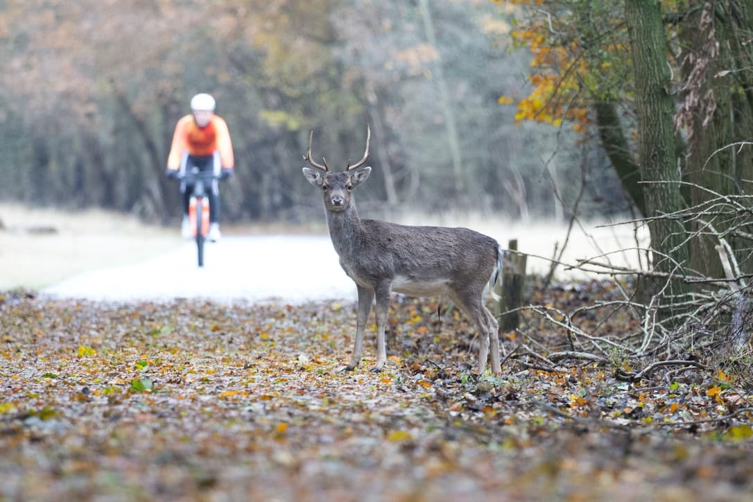 Tullio monthly ride out + Founders & Investors Bike Ride + Coffee Social