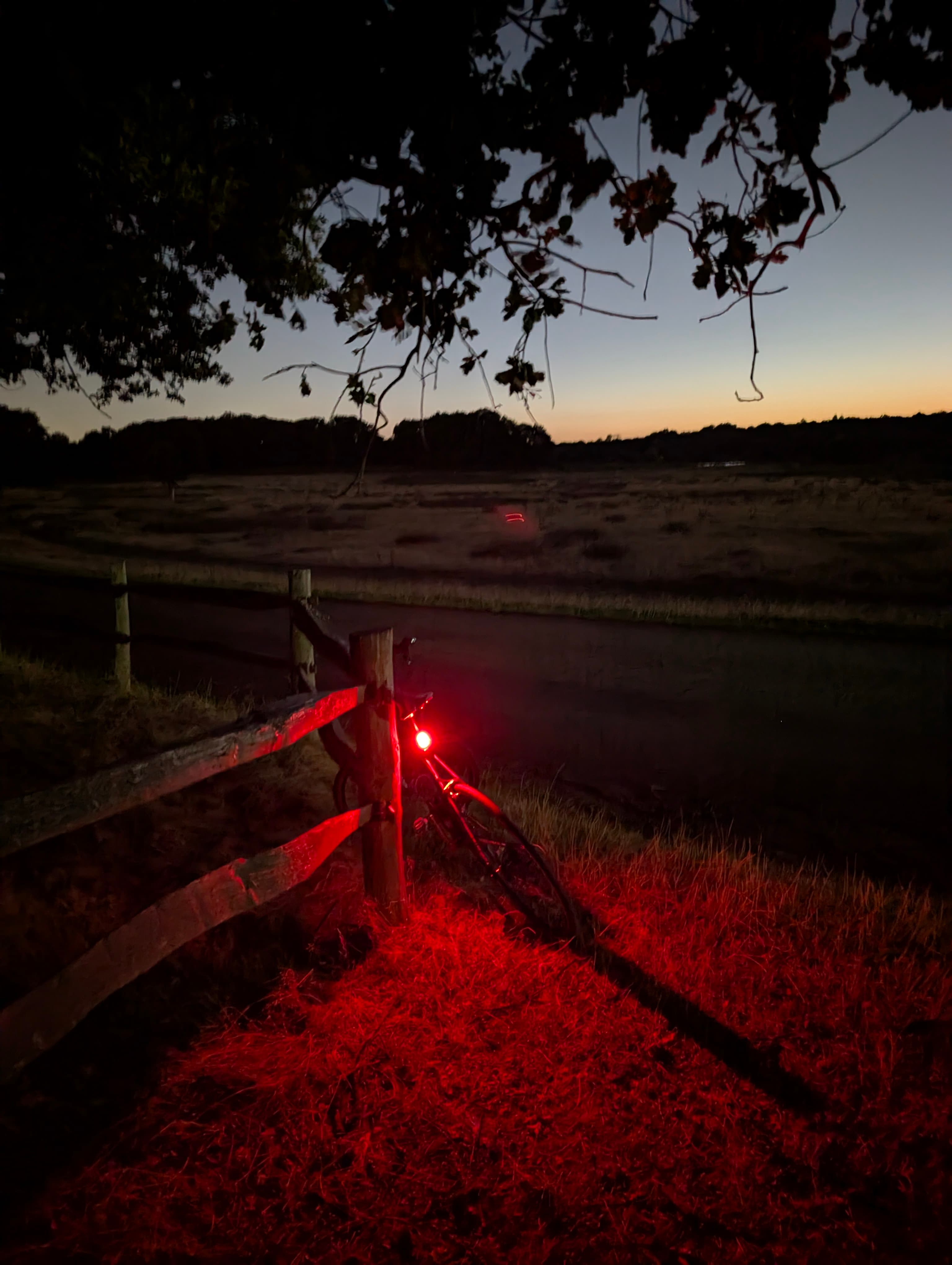 magic circle night trails ✷ s3e4