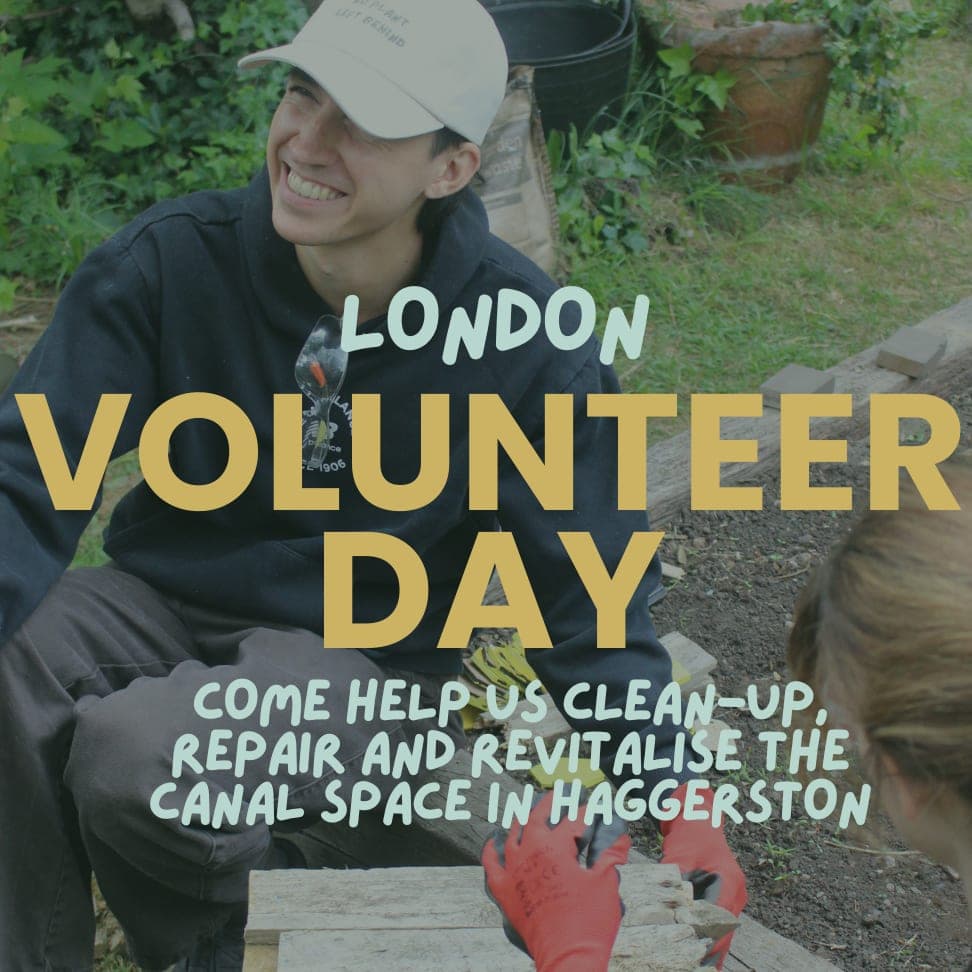 Volunteer & Socialise